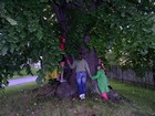 Fotografie 896 z dětského letního pobytu v Radostíně 2010