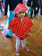 Dětský karneval - poděbradská Sokolovna, 29. března 2009 - fotografie č. 17