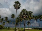 Sri_Lanka_108palms_resort_19